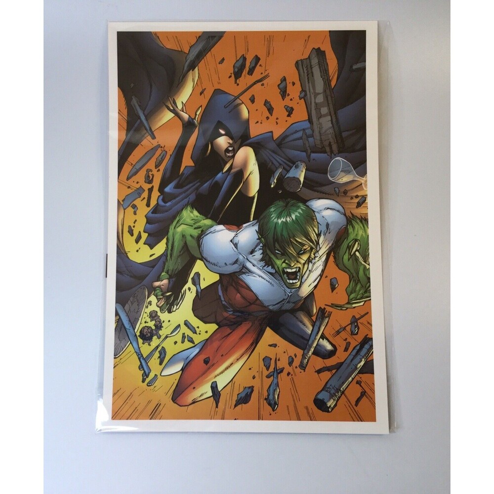 DC Comics Teen Titans Raven & Beast Boy Art Print World's Finest CULTUREFLY Exc